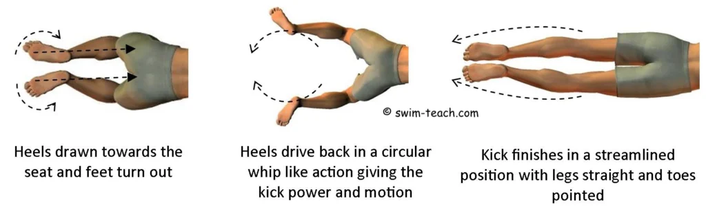 breast stroke swimming legs 
