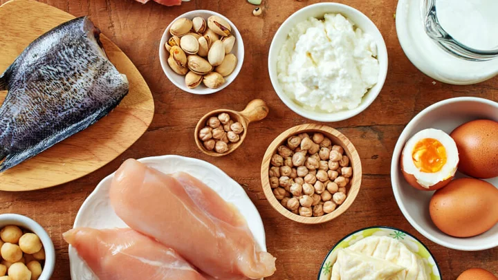 protein debate